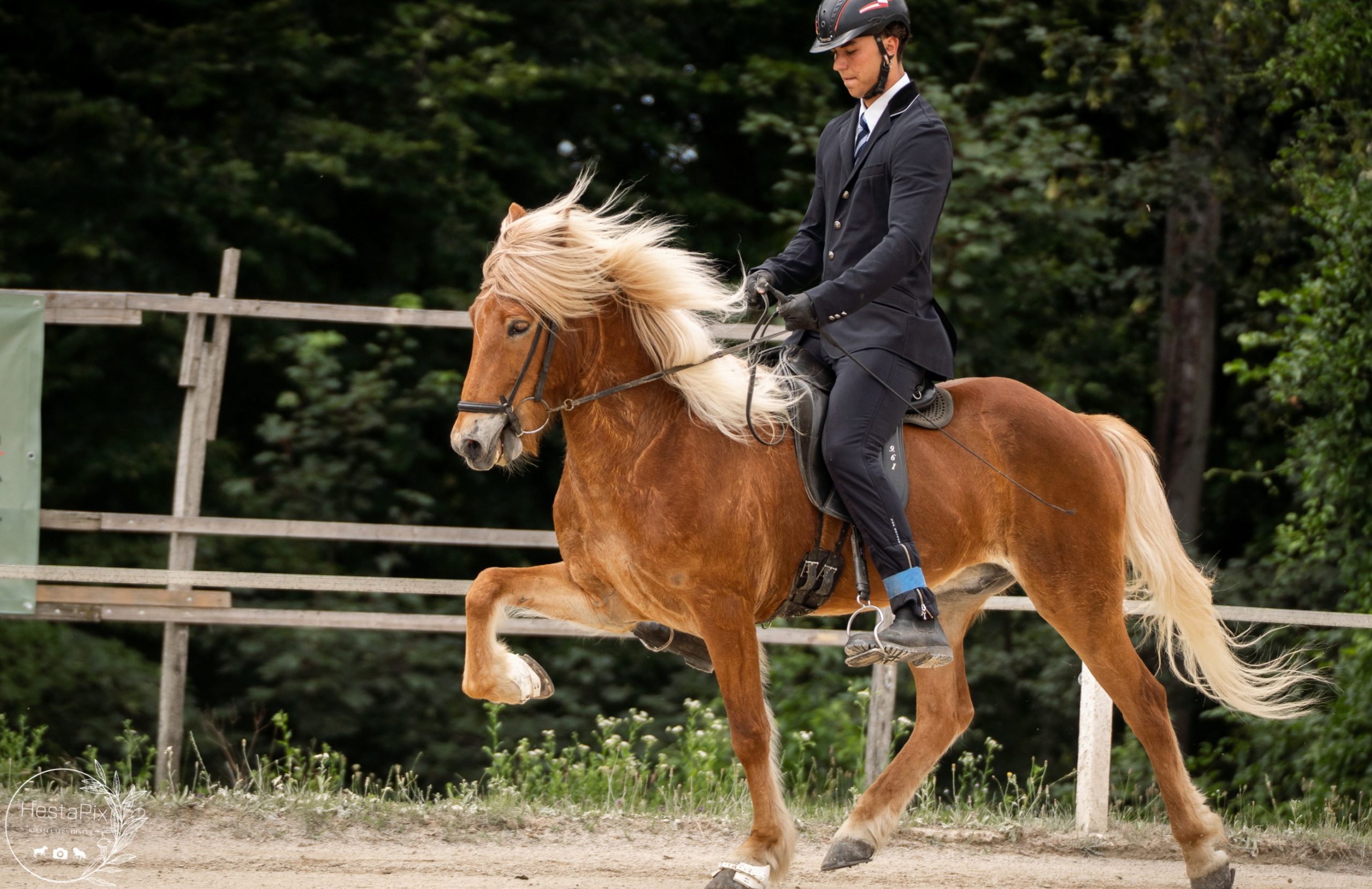 hestapix_KLA01427_L mit Logo (max. 3000px)_8570d913_~2
