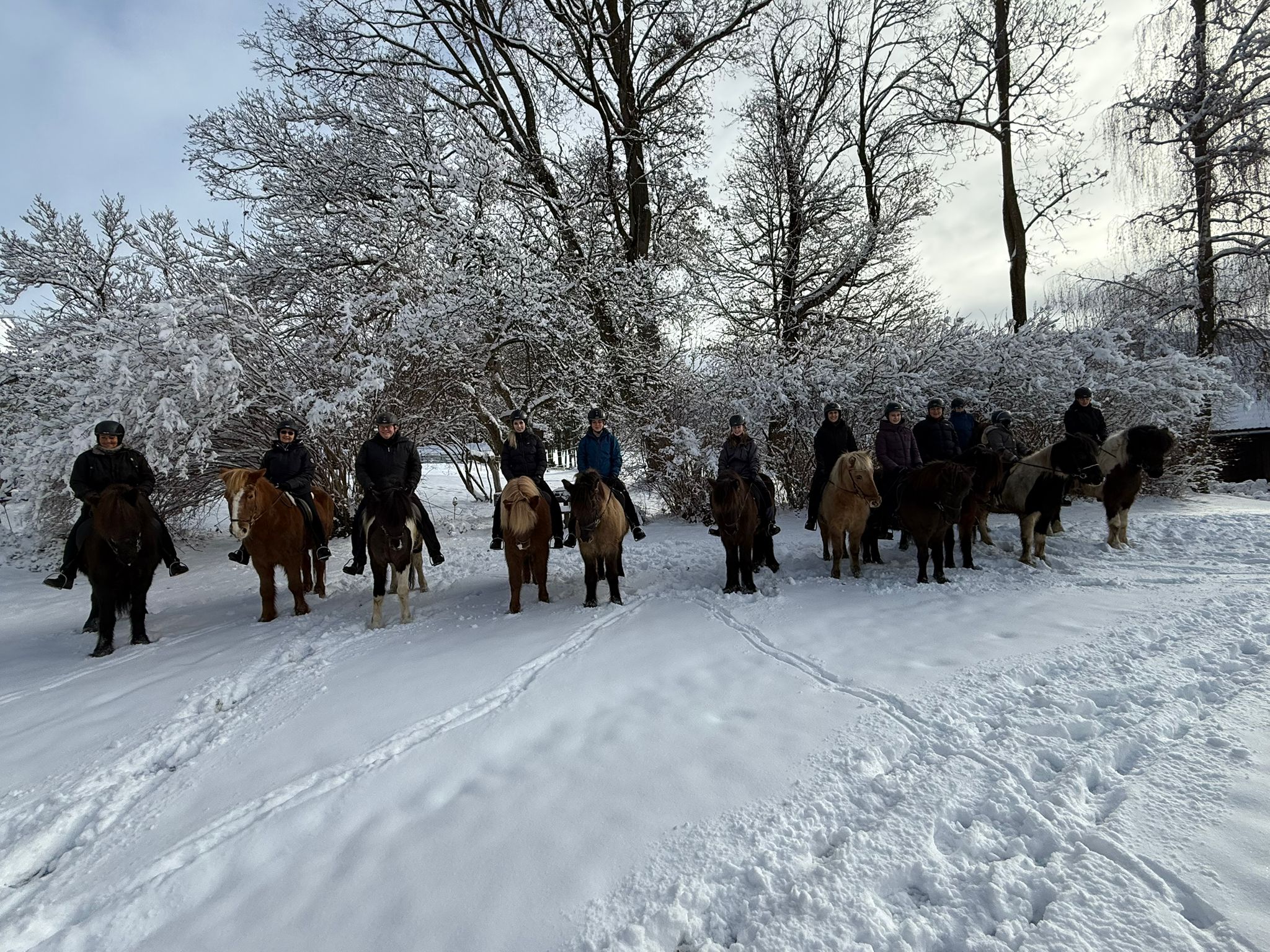 0aeb39a0-1bae-42b4-b3b2-2b04a156fb7a