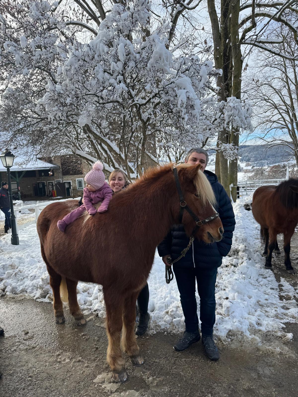 79a1861d-449d-4730-9dcd-c6fbd4f7a726