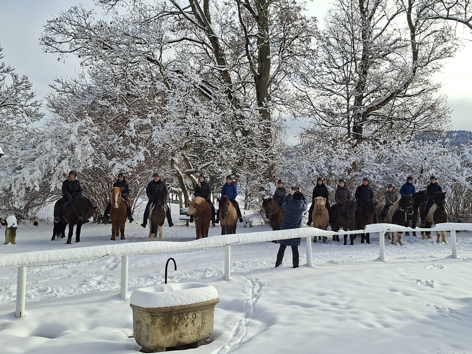 ae501a0a-1c54-429b-ba18-7d34927b7991