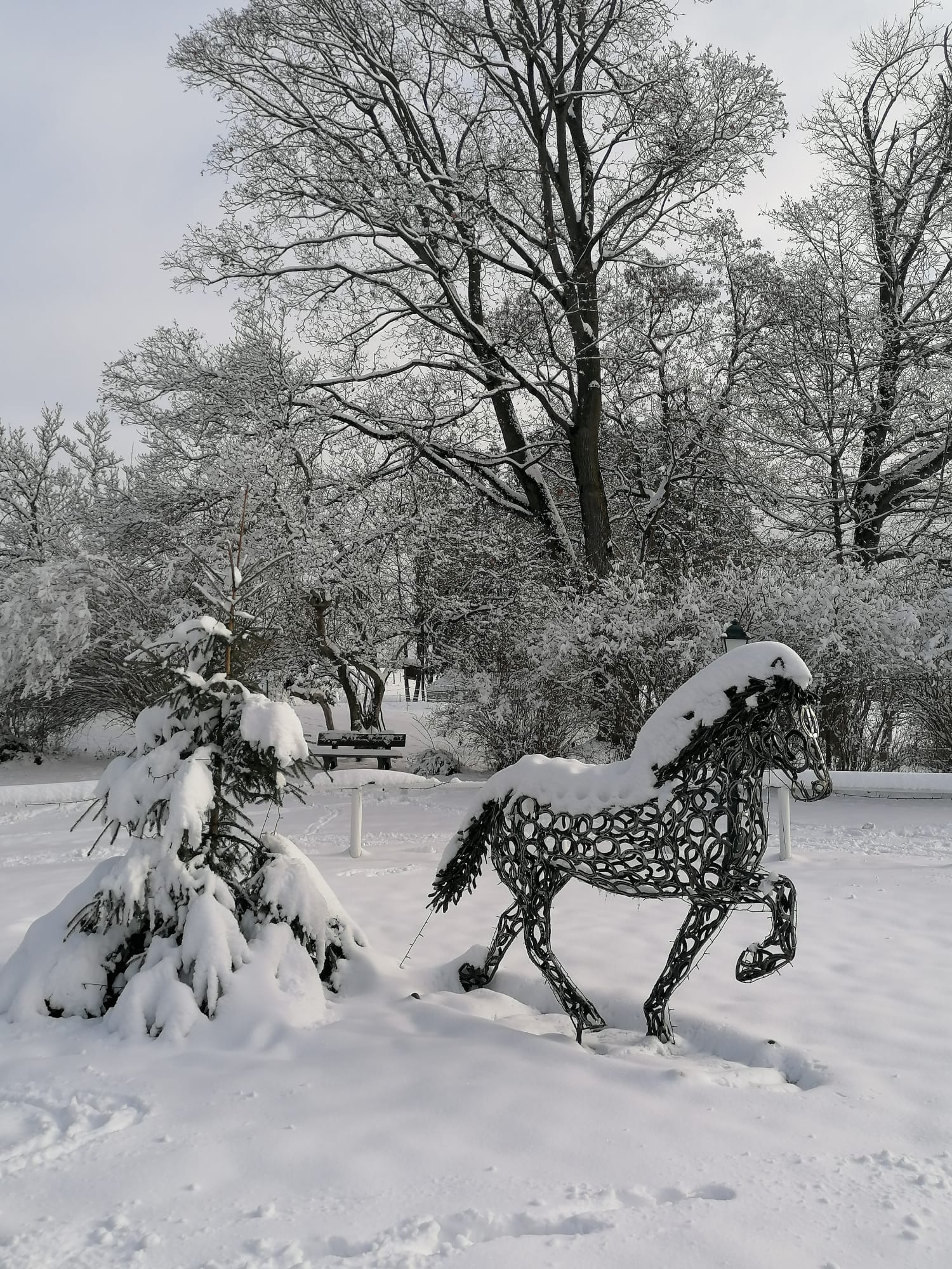 b53b43c9-5f5f-4951-ac77-cf0517aaa43a