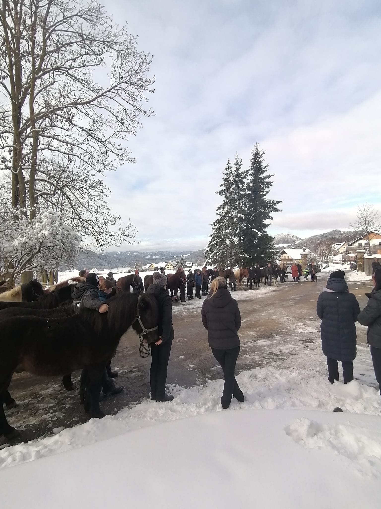 dca1800e-63fe-492e-ac23-0e441b2f3f74