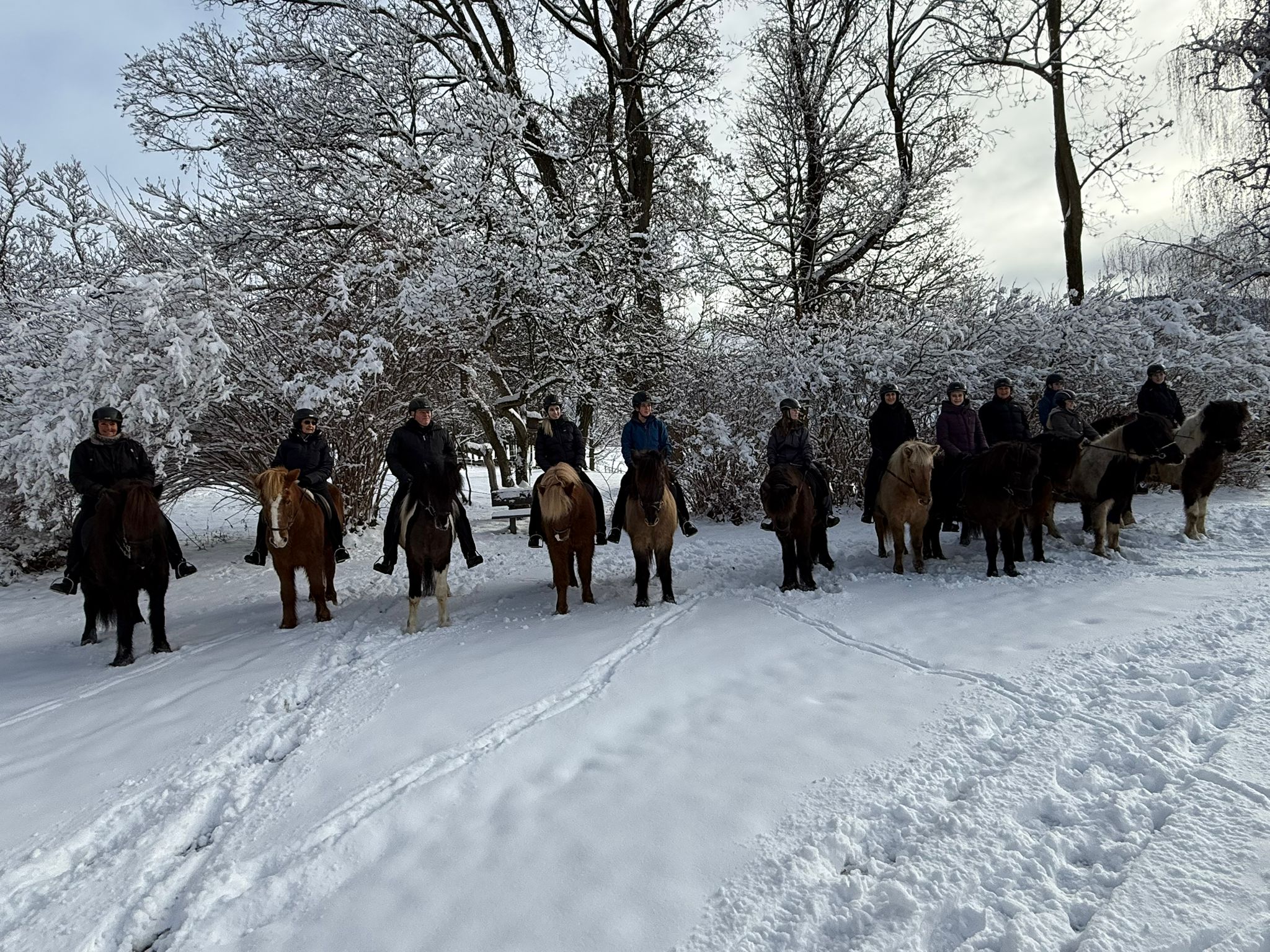 e06bd5ca-2448-4b5f-b529-a1aa1a82a910