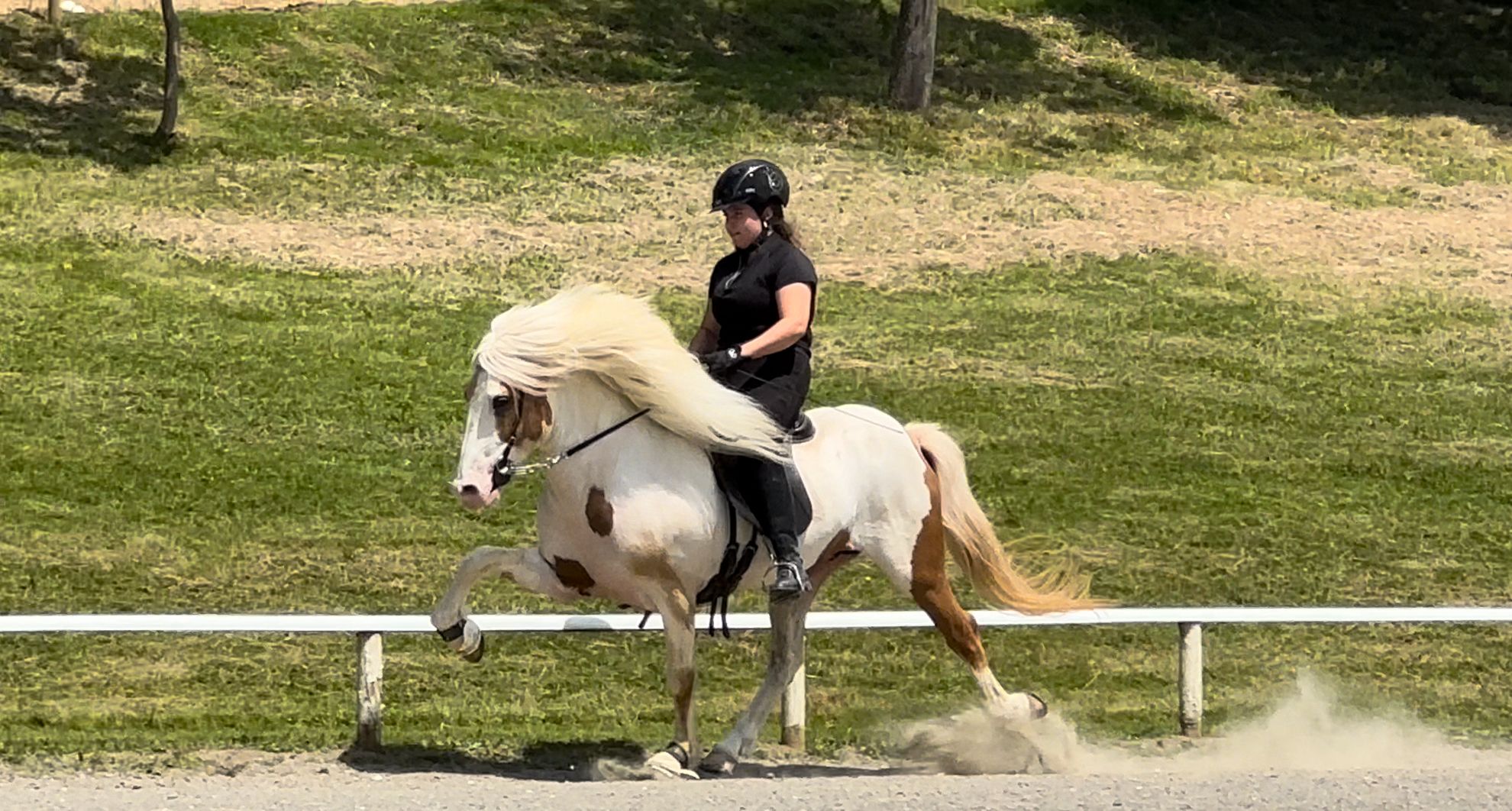 PHOTO-2026-03-11-21-19-25-2