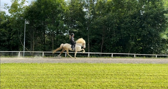 PHOTO-2026-03-11-21-19-25