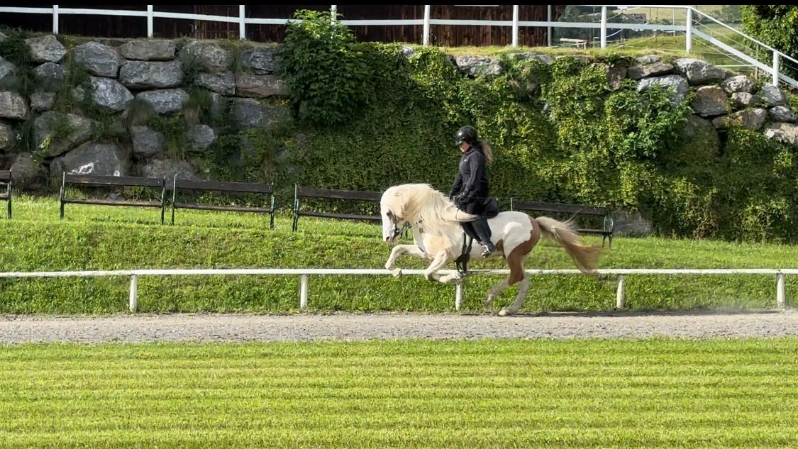 PHOTO-2026-03-11-21-19-26-2