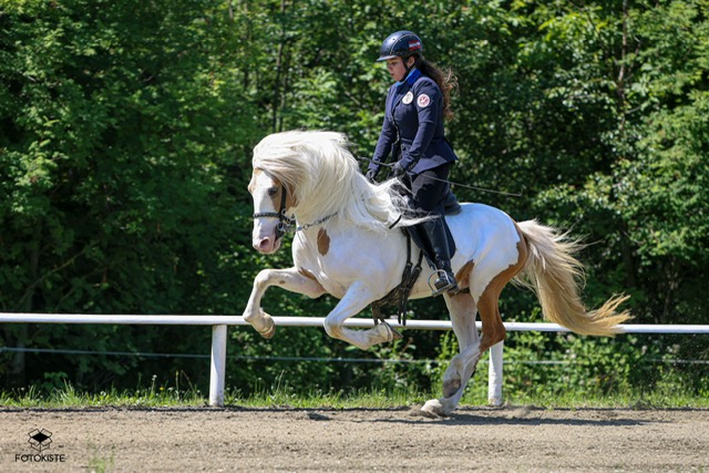 PHOTO-2026-03-11-21-19-26-3