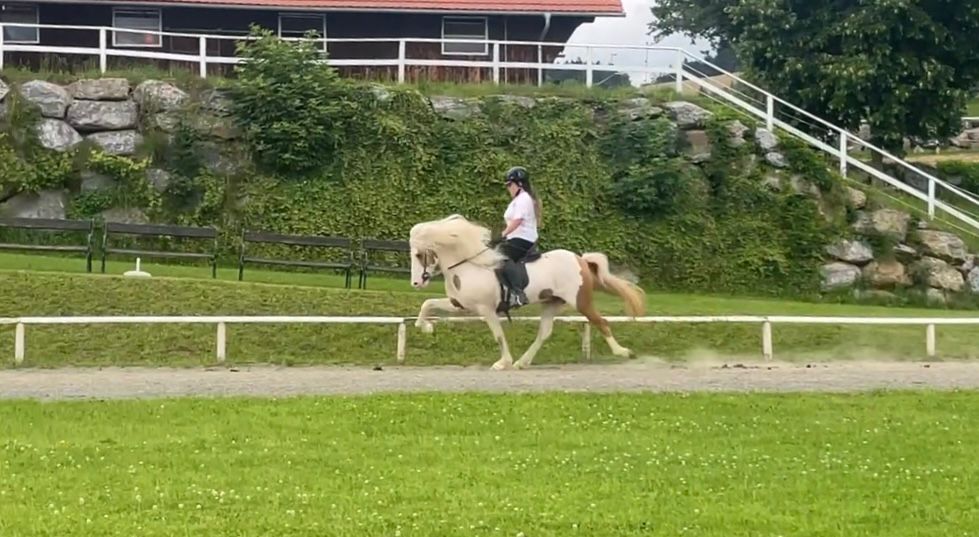 PHOTO-2026-03-11-21-19-26-4