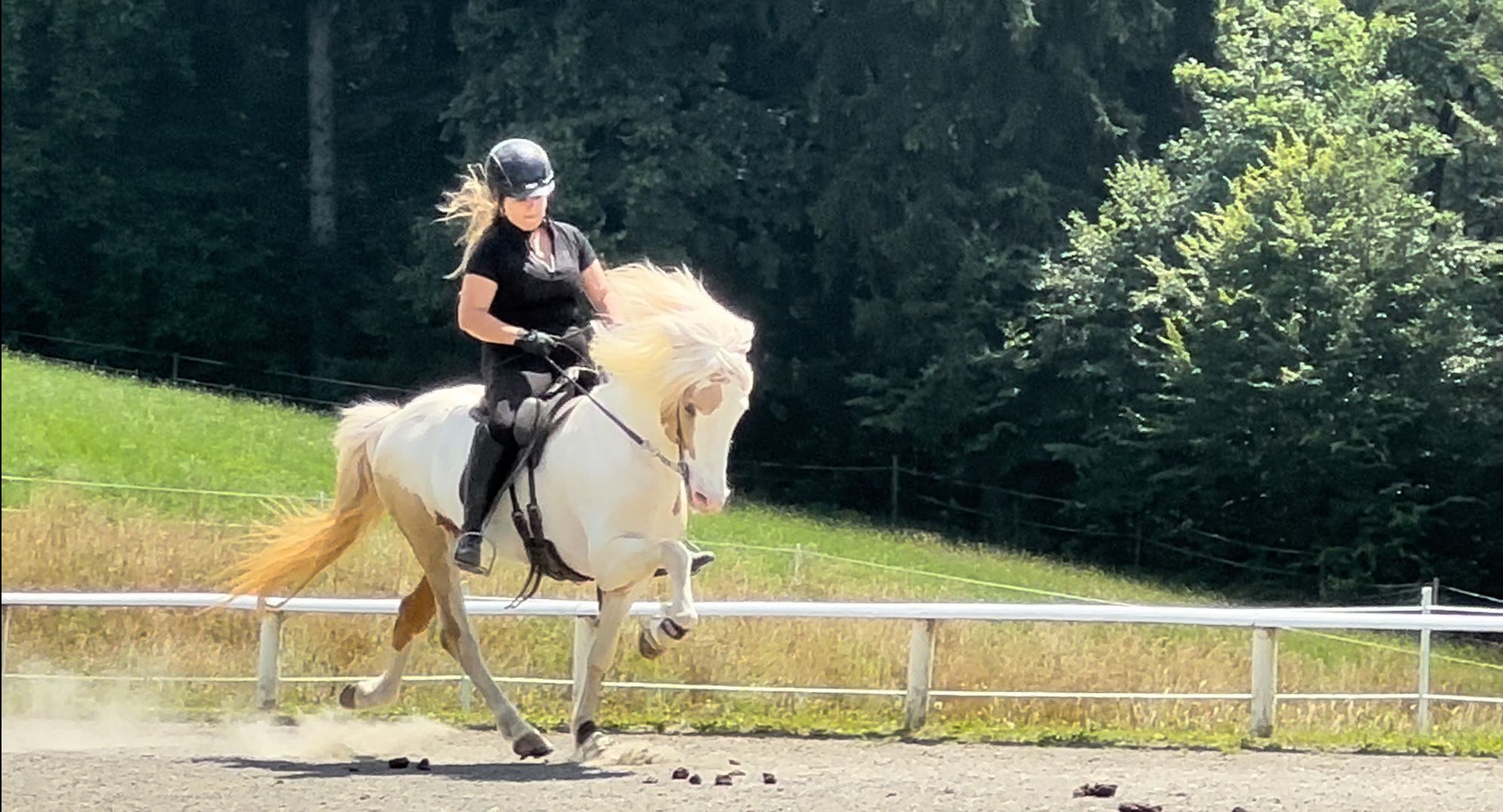 PHOTO-2026-03-11-21-19-26