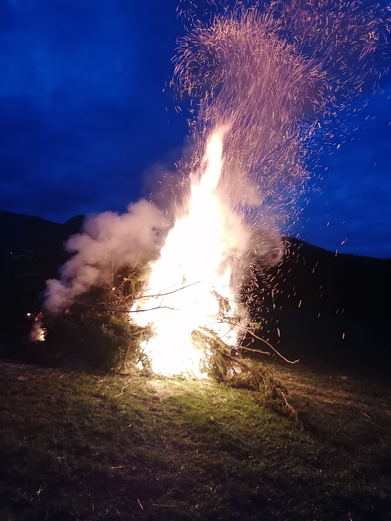 PHOTO-2026-04-05-09-50-08-5